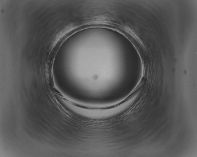 X0000086291356200704090945