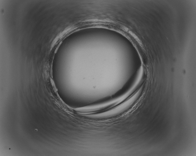 X0000086291357200704090945