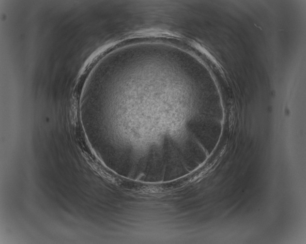 X0000086291358200704090945