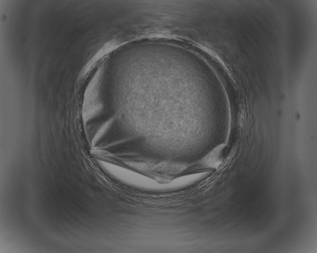X0000086291359200704090945