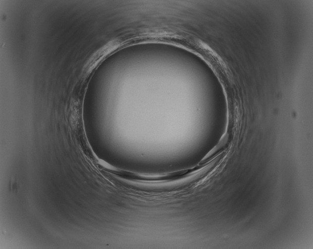 X0000086291361200704090945