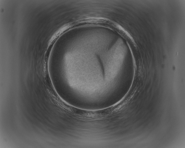 X0000086291362200704090945
