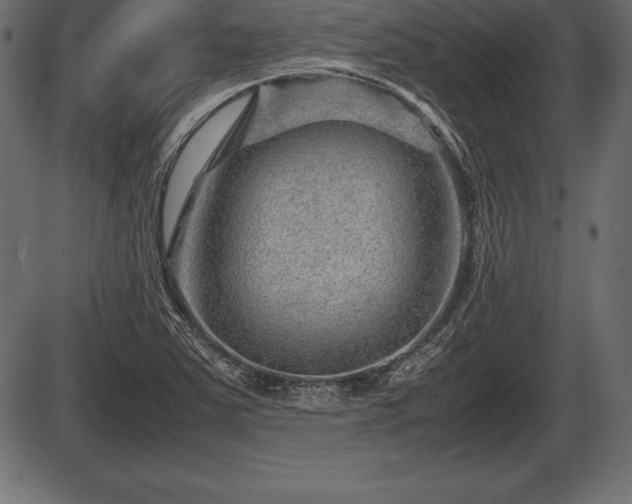 X0000086291363200704090945