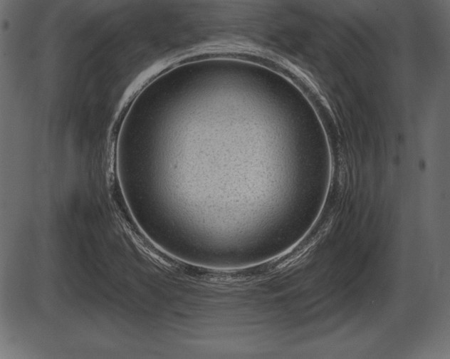 X0000086291366200704090945