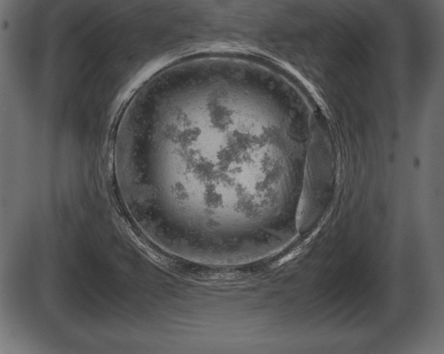 X0000086291367200704090945