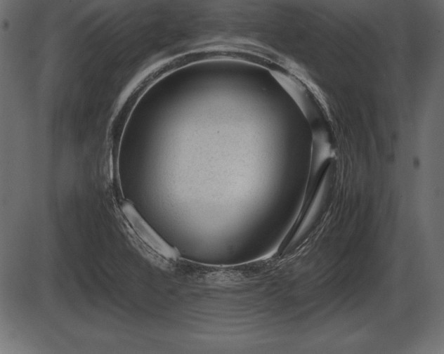 X0000086291368200704090945