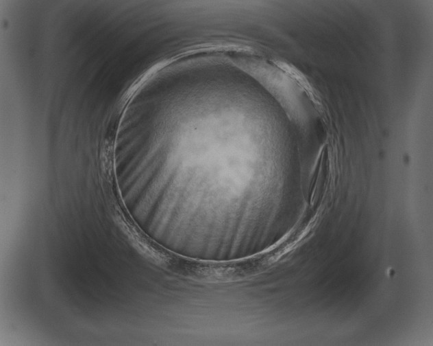 X0000086291369200704090945