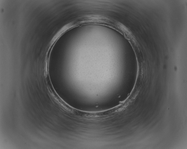 X0000086291370200704090945