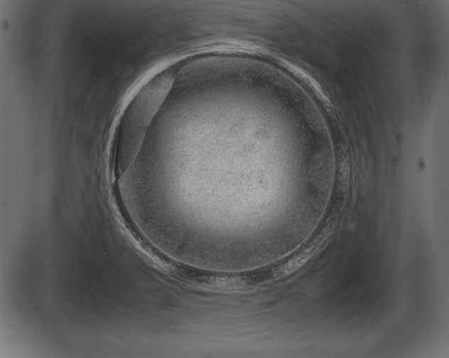 X0000086291375200704090944