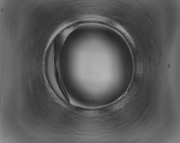 X0000086291376200704090944