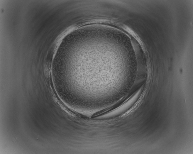 X0000086291377200704090944