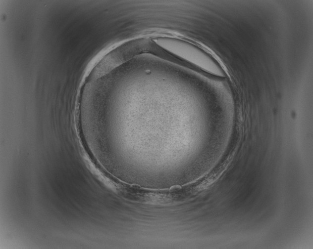 X0000086291379200704090944