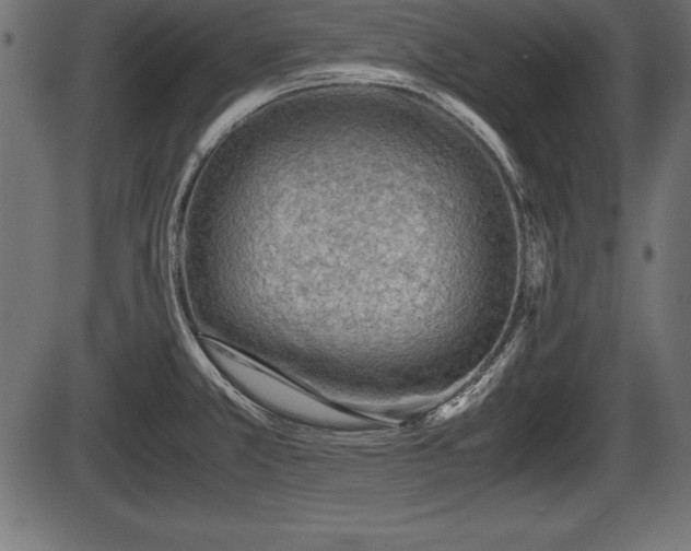 X0000086291381200704090944