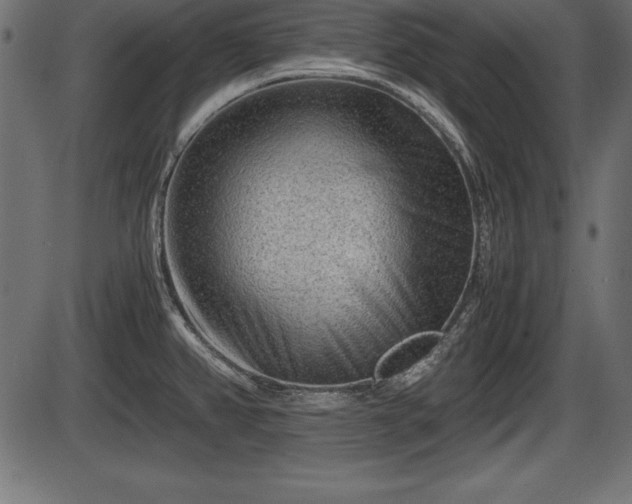 X0000086291382200704090944