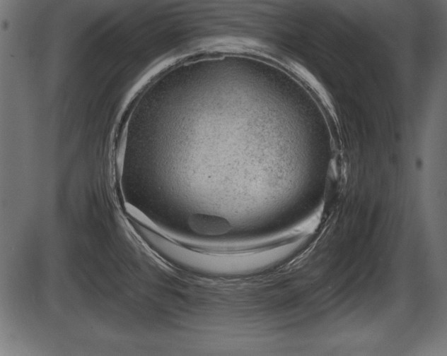 X0000086291384200704090944