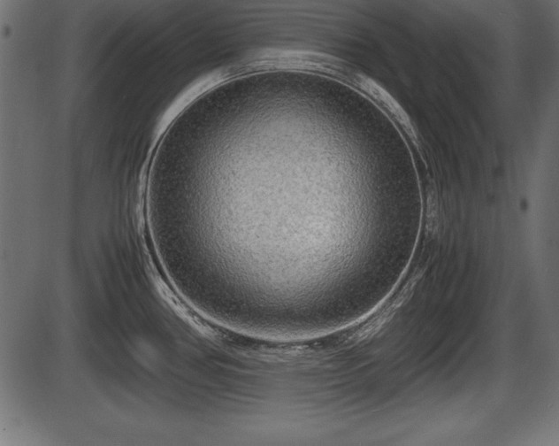 X0000086291386200704090944
