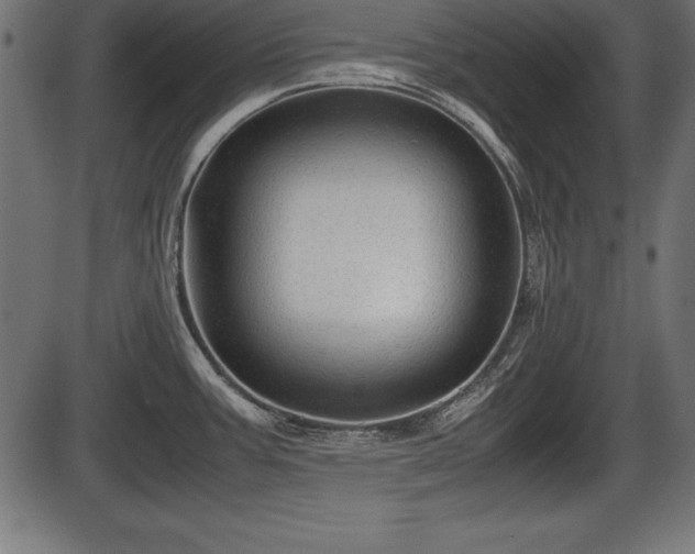 X0000086291387200704090944