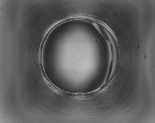 X0000086291388200704090944