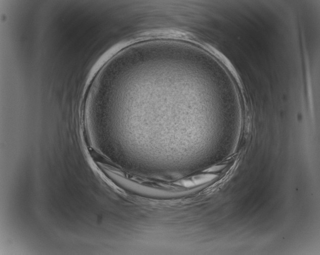 X0000086291389200704090944