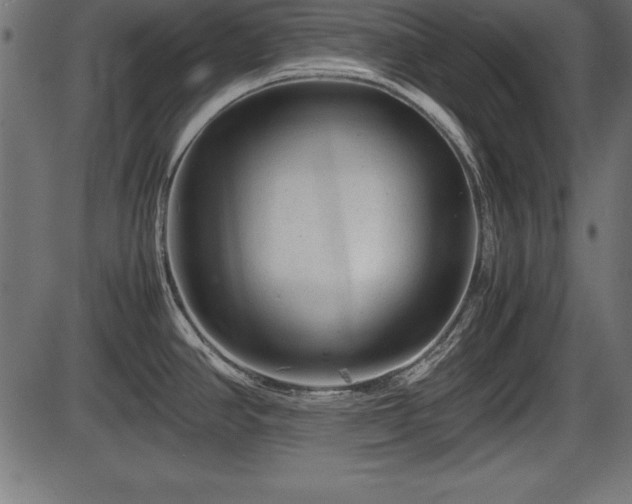 X0000086291390200704090944