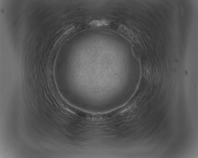 X0000086291393200704090943