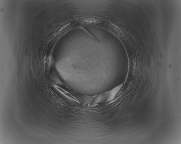 X0000086291394200704090943