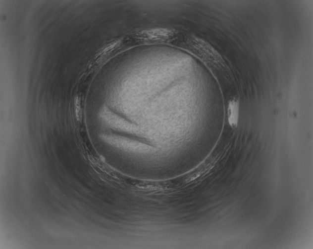 X0000086291395200704090943