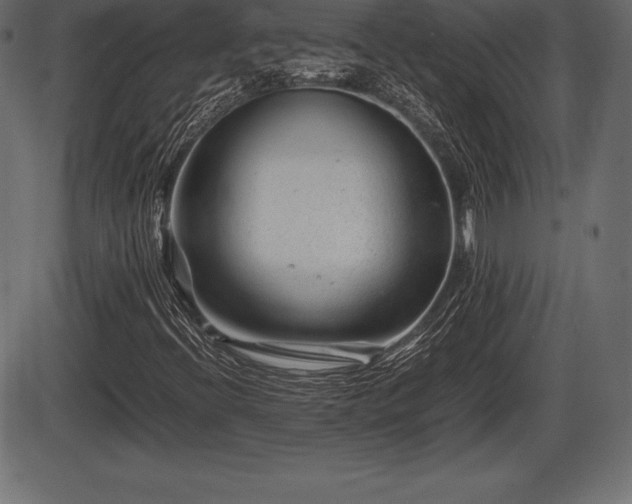 X0000086291396200704090943