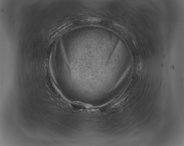 X0000086291397200704090943