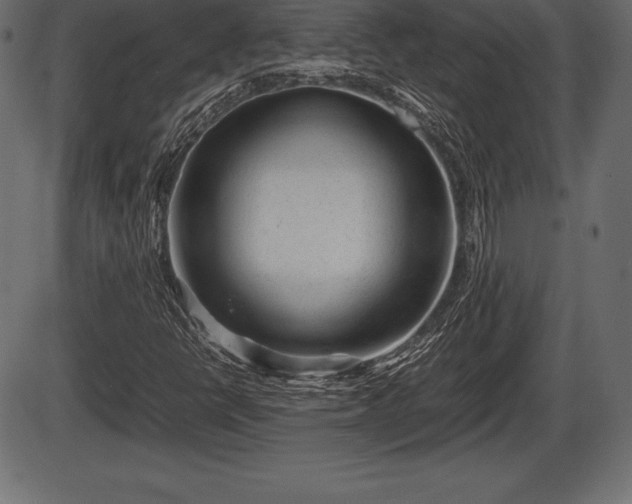 X0000086291398200704090943