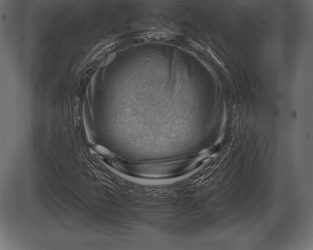 X0000086291399200704090943