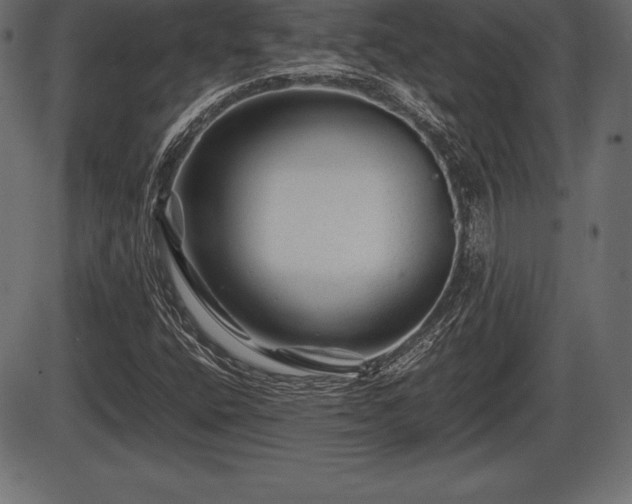 X0000086291400200704090943