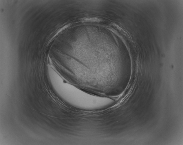 X0000086291401200704090943