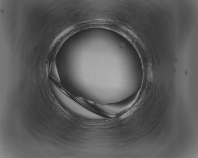 X0000086291402200704090944