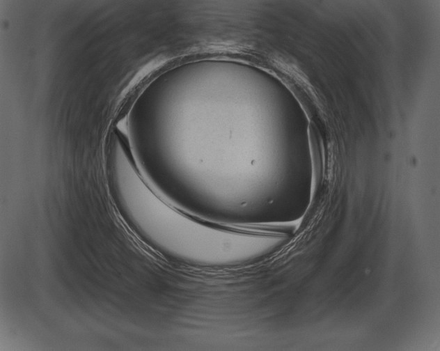 X0000086291404200704090944