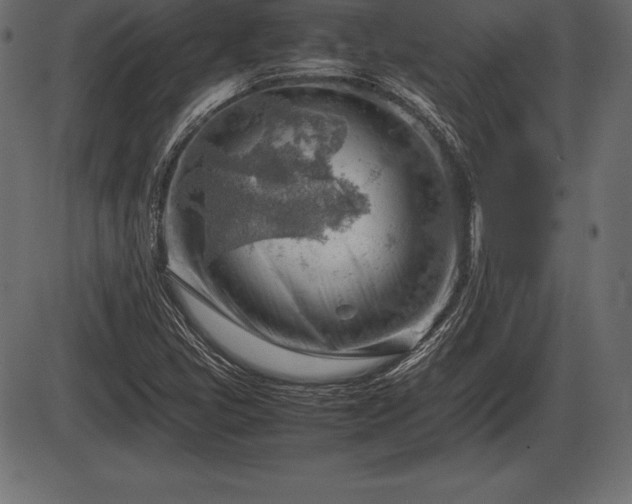 X0000086291405200704090944