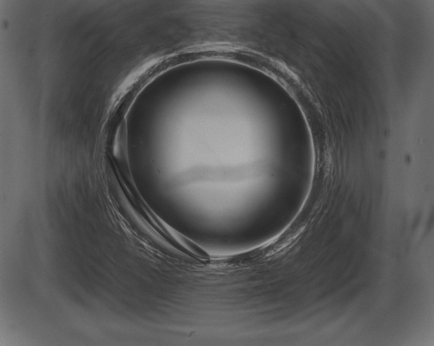 X0000086291406200704090944