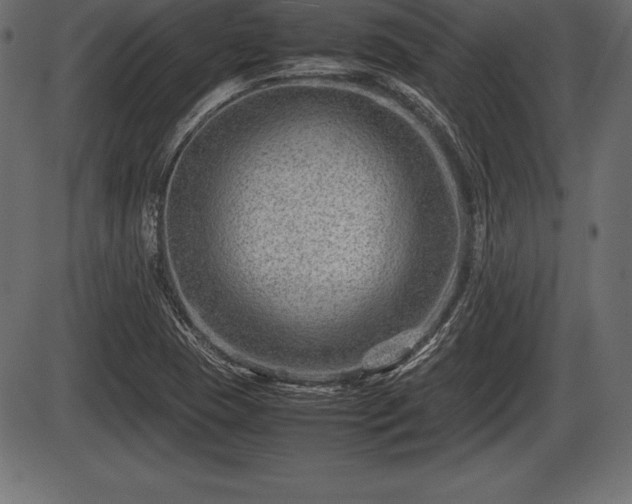 X0000086291409200704090944