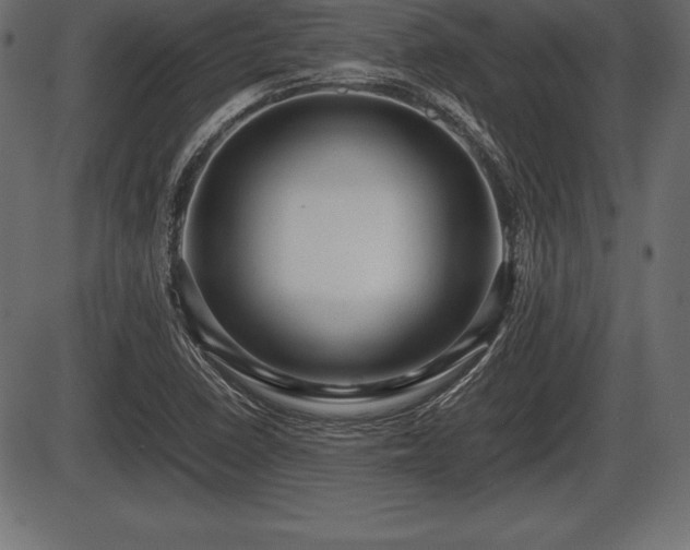 X0000086291410200704090944