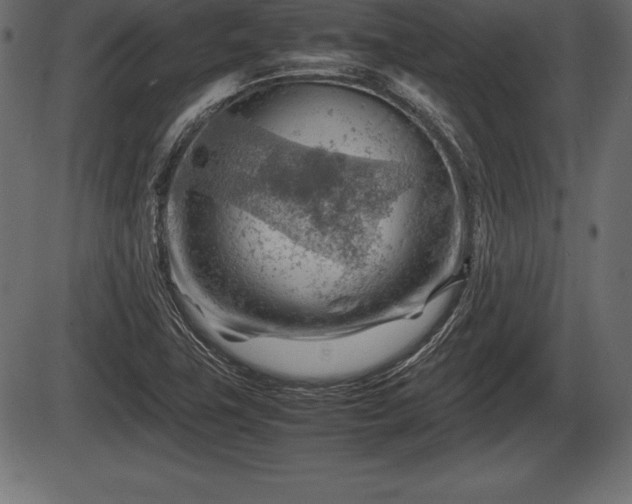 X0000086291411200704090944