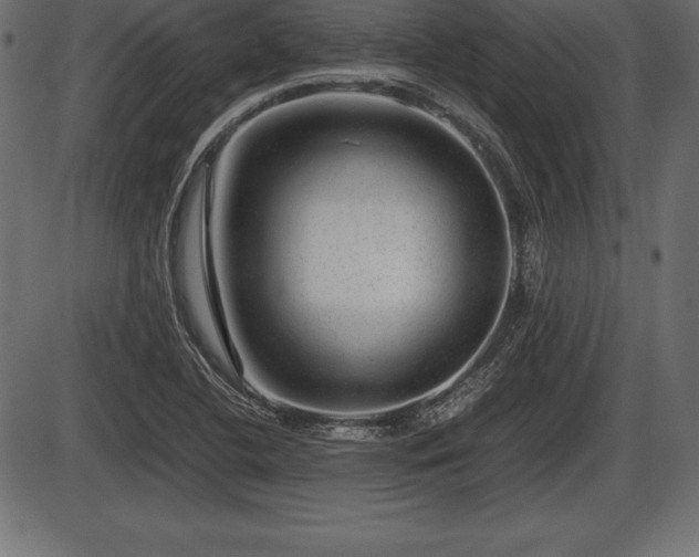 X0000086291412200704090944