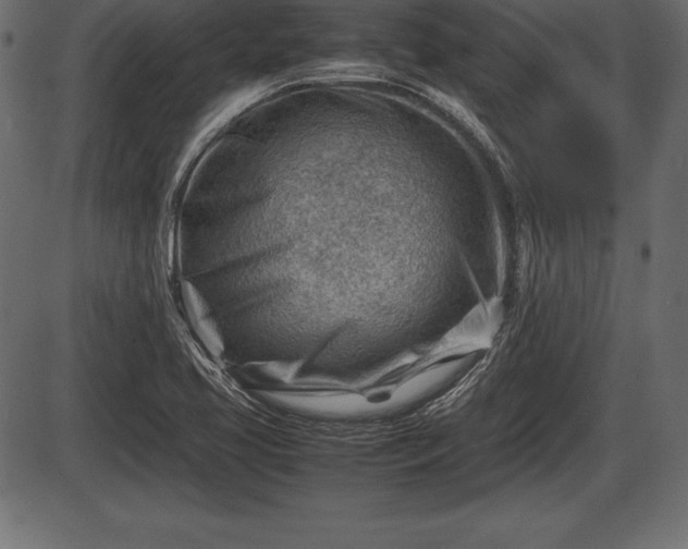 X0000086291413200704090944