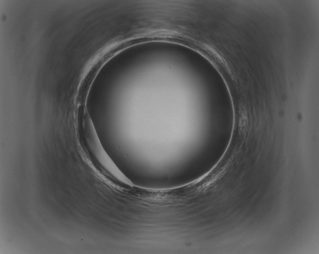 X0000086291414200704090944