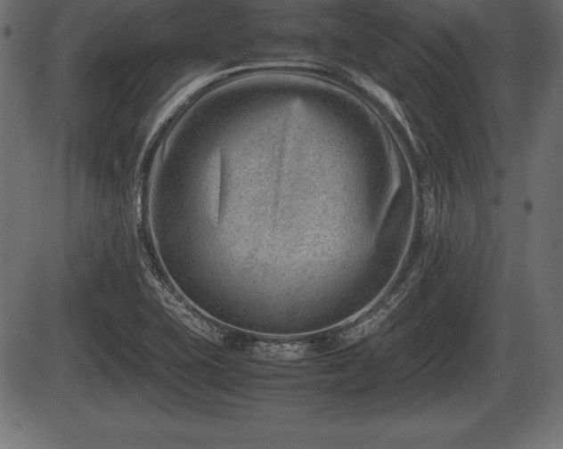 X0000086291415200704090944