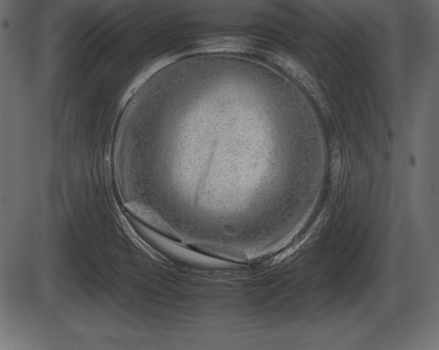X0000086291417200704090944
