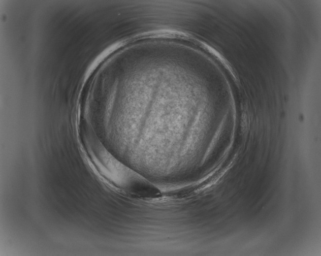 X0000086291418200704090944