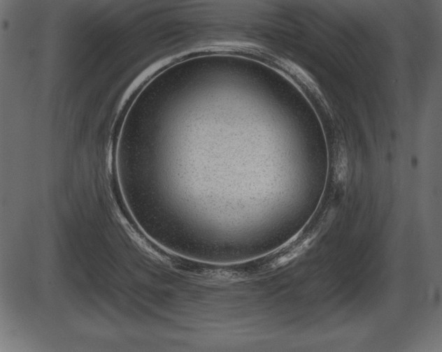 X0000086291420200704090944