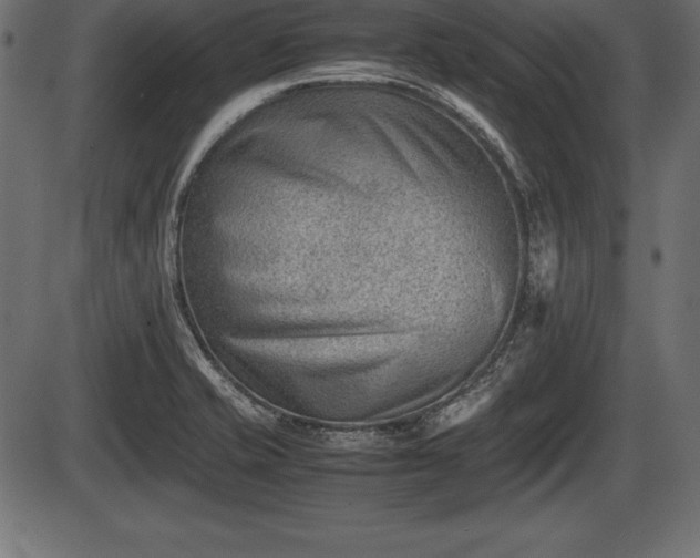 X0000086291421200704090944