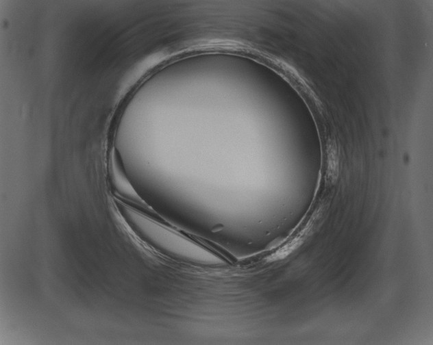 X0000086291422200704090944