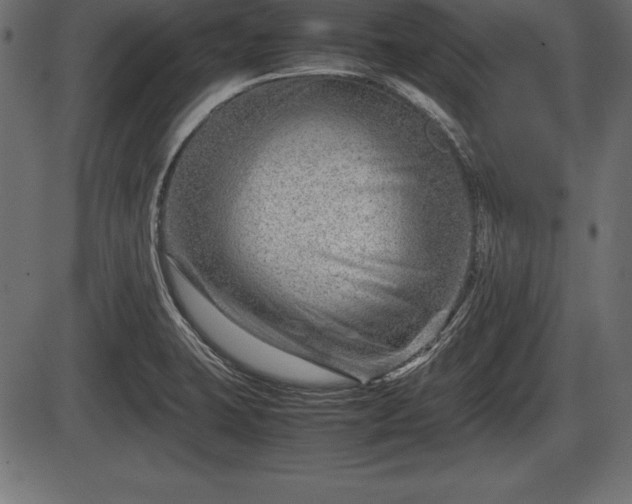 X0000086291423200704090944